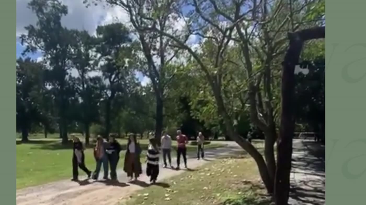 Grupo caminando por el sendero arbolado