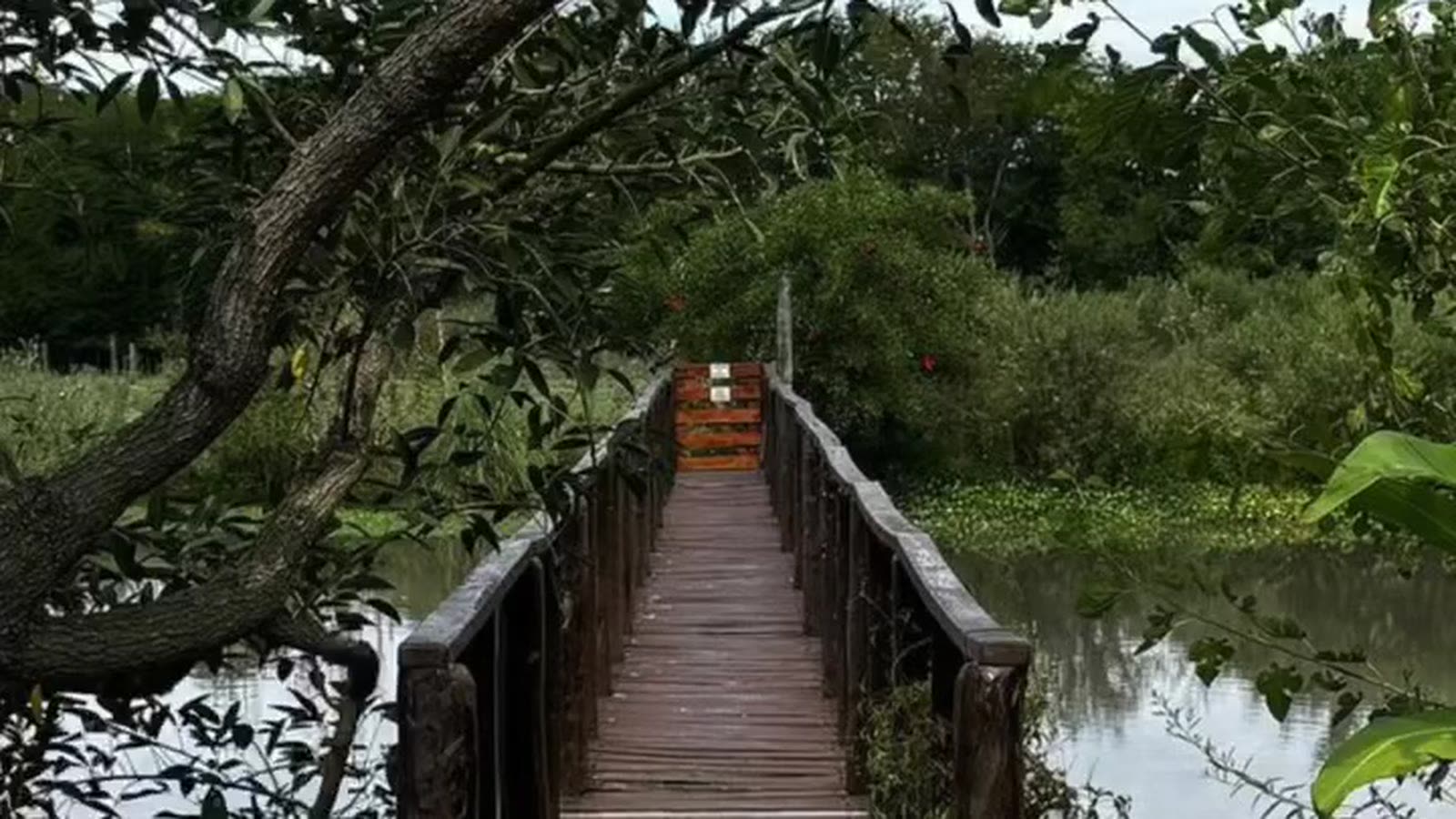 Lake and trails